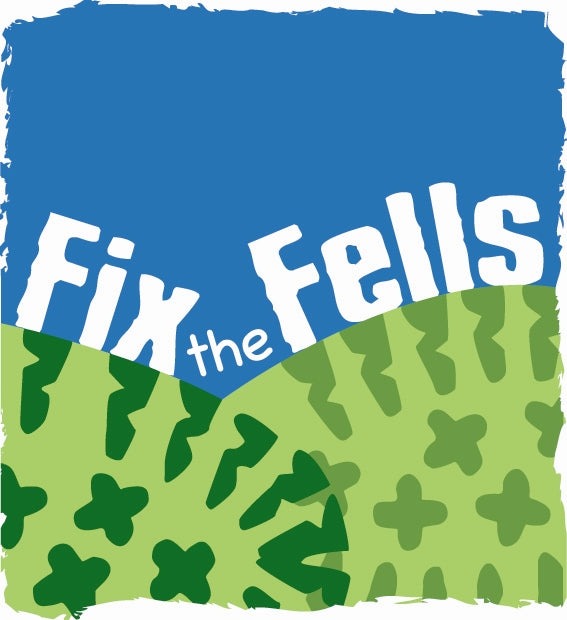 Fix the Fells caring for the Lake Districts mountain paths and trails